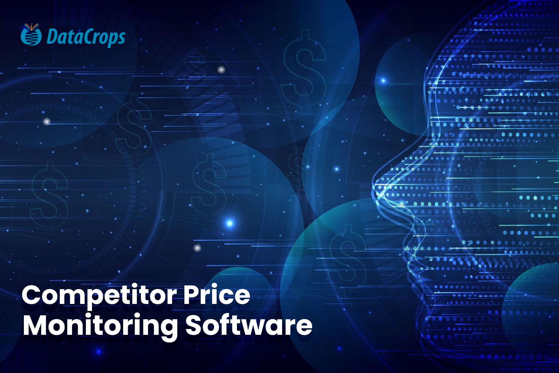 Competitor Price Monitoring Software