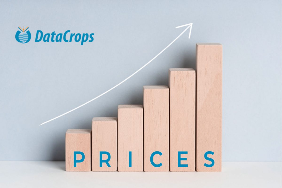 Set Realistic Goals For Your Business Price With Price Monitoring